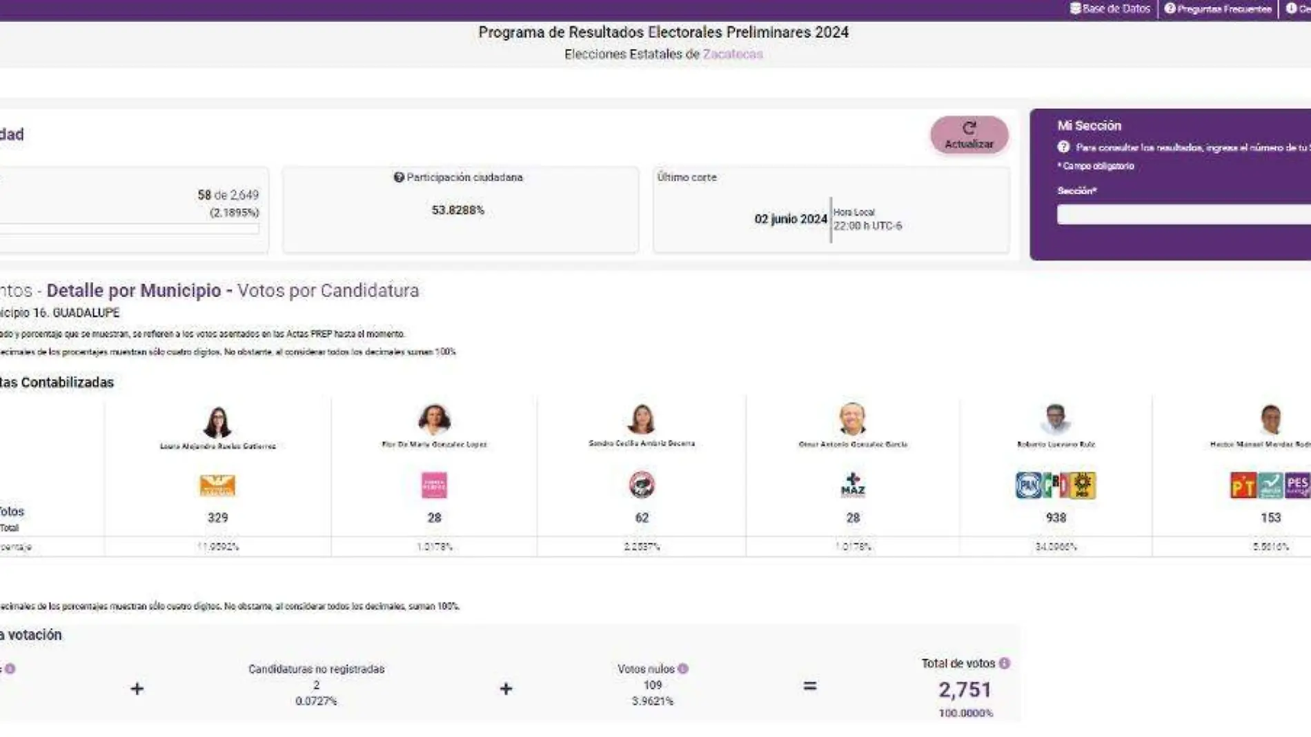 Elecciones Guadalupe